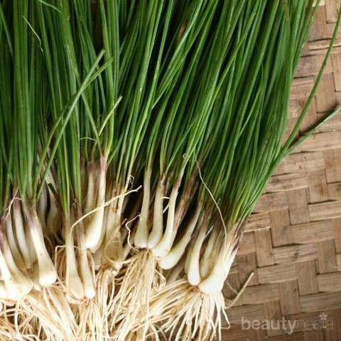 Khasia Lokio – Bawang Batak